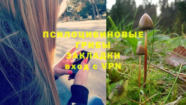 герыч Алексин